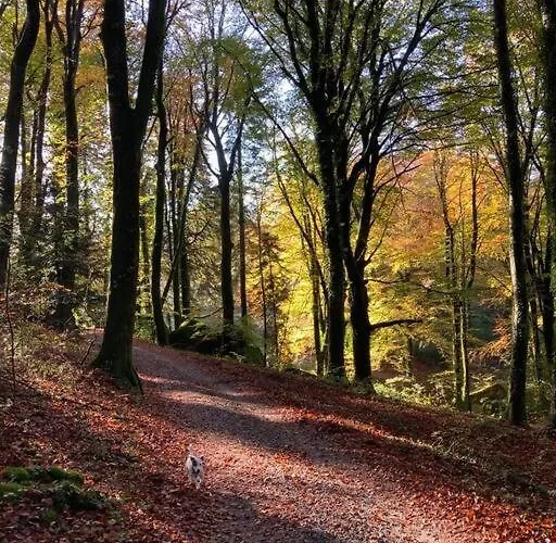 Maison En Pierre Dans Le Sidobre Nyaraló