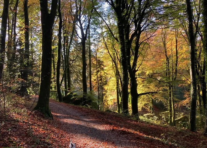 Maison En Pierre Dans Le Sidobre *