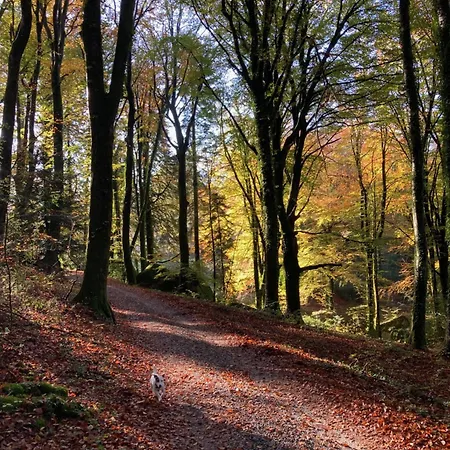 Maison En Pierre Dans Le Sidobre *